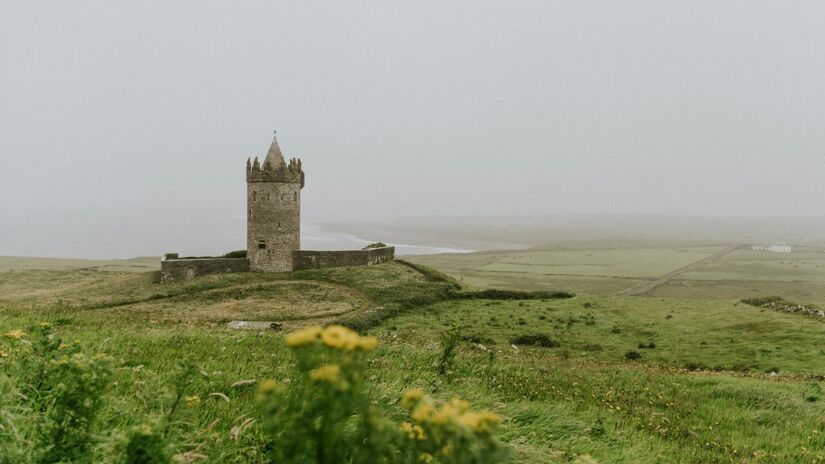 Antes da formação da barreira marítima, alguns mamíferos conseguiram chegar à Irlanda, como ursos marrons, javalis e linces, espécies que habitaram a ilha no passado. Unsplash/Aldo De La Paz
