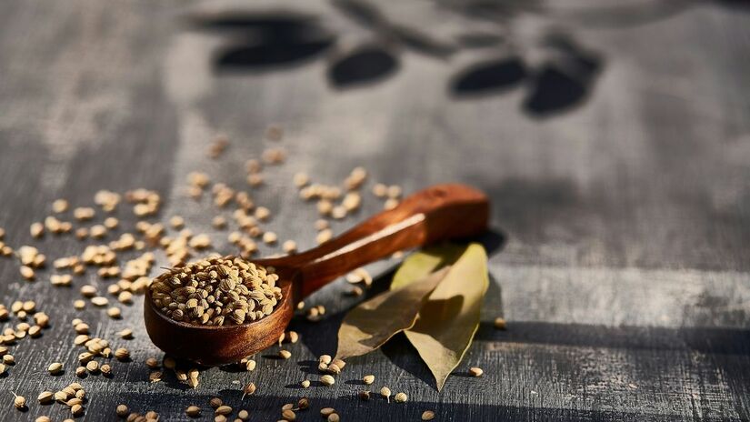 Ervas e fórmulas naturais fazem parte da Chinese herbal medicine, prática terapêutica que utiliza plantas medicinais conforme a condição de cada paciente. Unsplash/SwapnIl Dwivedi
