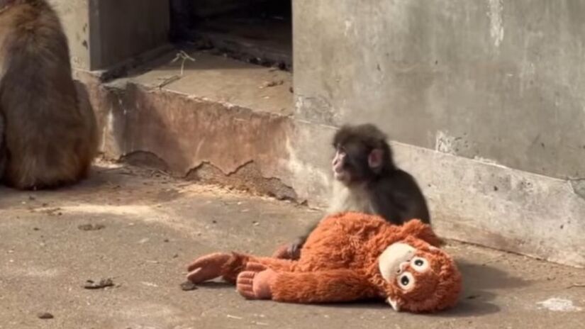 Reprodução/Youtube