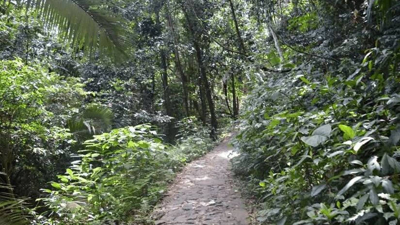 Trilha das Ruínas, Guarujá/Divulgação