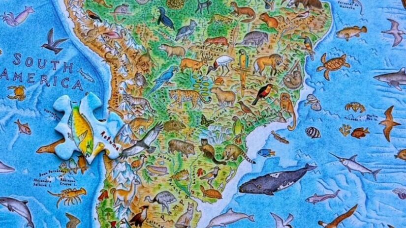 Mapa Wild World reúne 1.642 espécies em representação sem fronteiras políticas /Instagram