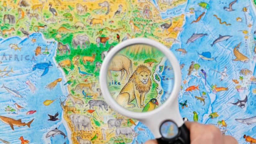 Obra combina ilustração manual com pesquisa científica detalhada /Instagram