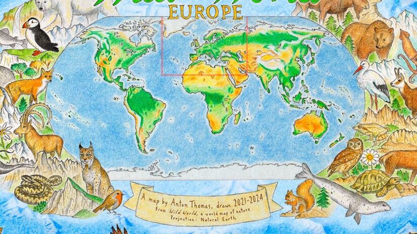 Espécies brasileiras como mico-leão-dourado ganham destaque no projeto /Instagram