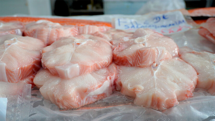 Mercado Muncipal de Peixes de Santos / Renan Lousada