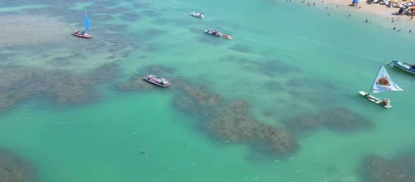 Porto de Galinhas é um dos destinos mais procurados do litoral pernambucano/ Reprodução/Minha Praia Viajar