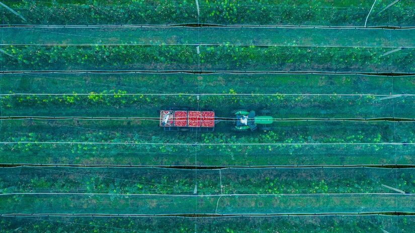 Marlon Sá Molim, Divulgação