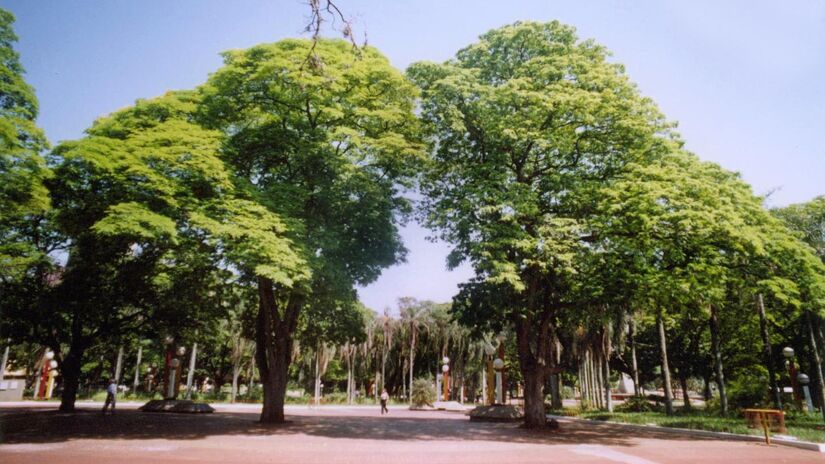 Fundada na década de 1940, Maringá cresceu rapidamente e se tornou um polo regional / Fernando Dall'Acqua/Wikimedia Commons