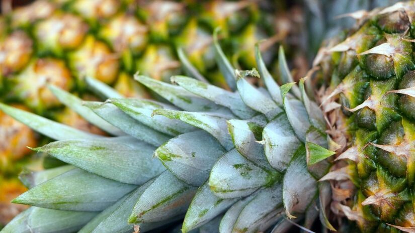 O sabor marcante do abacaxi pode ser um aliado para quem tenta diminuir o consumo de açúcar / Pixabay