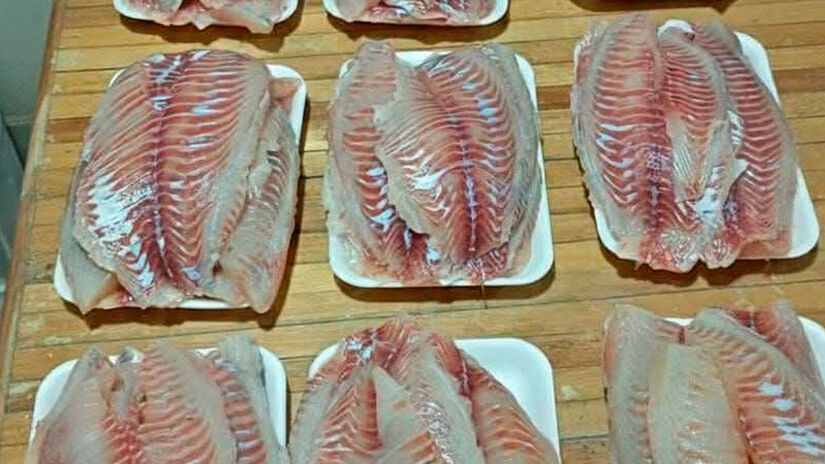 Reprodu&ccedil;&atilde;o/Facebook