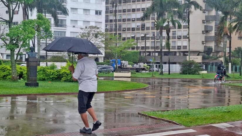 Nair Bueno / Di&aacute;rio do Litoral