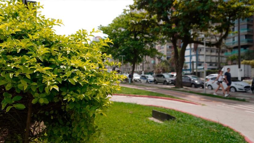 Renan Lousada - Diário do Litoral