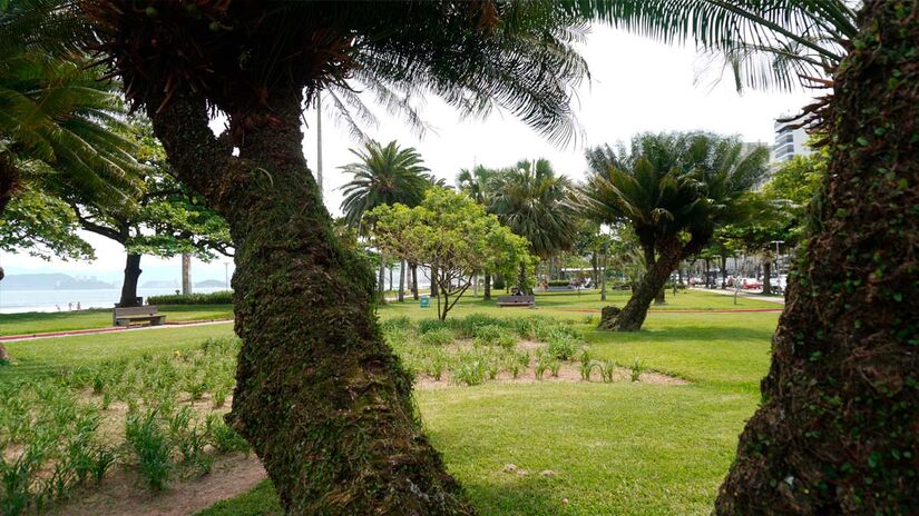 Renan Lousada - Diário do Litoral