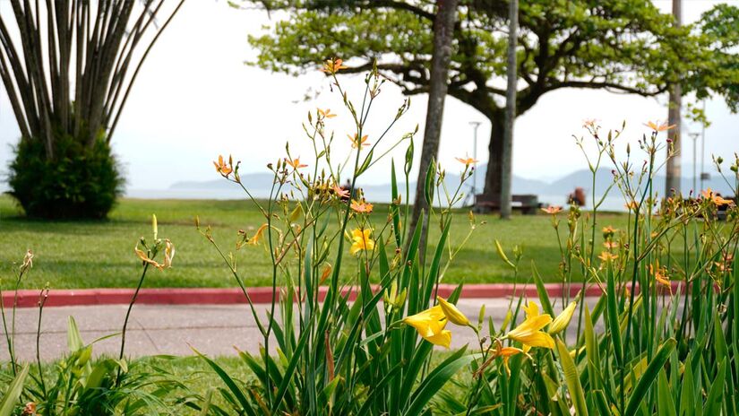 Renan Lousada - Diário do Litoral