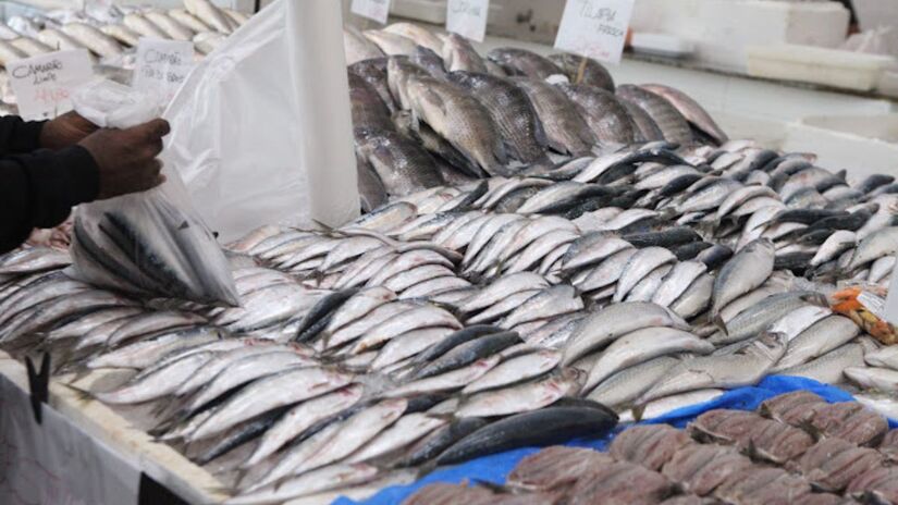 Festival de descontos oferece sardinha por R$ 12,99 kg no Mercado de Peixes /PMS