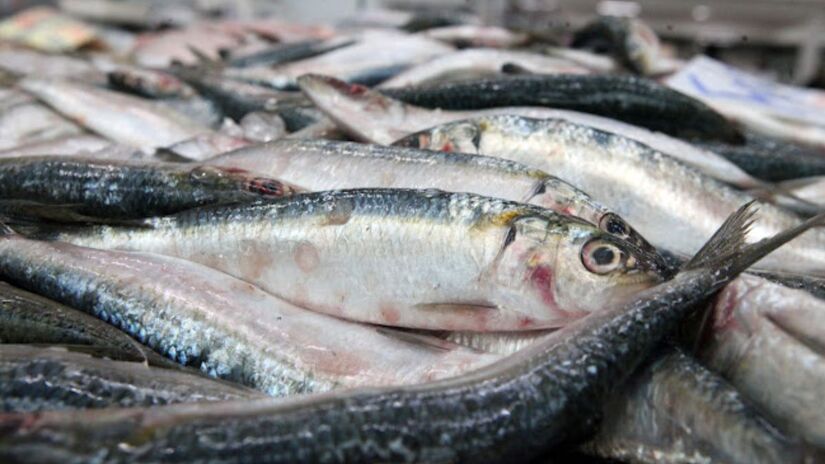 Promoção busca estimular consumo de pescado antes da Semana Santa /PMS