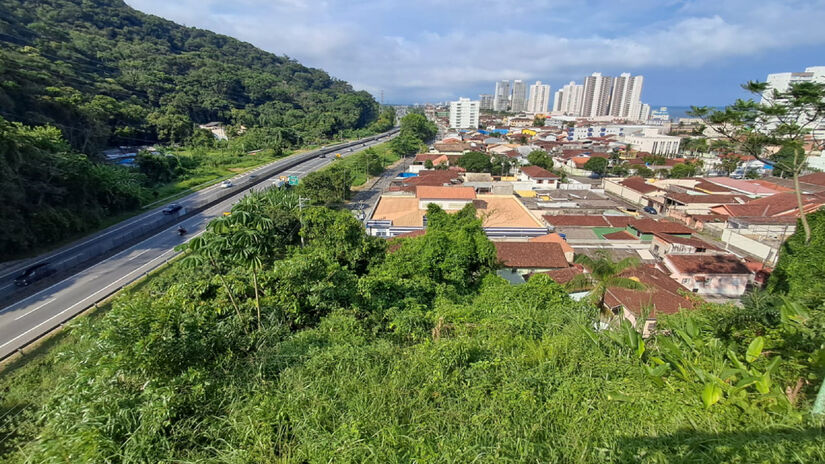 Durante a subida at&eacute; o monumento, &eacute; poss&iacute;vel observar a rica flora da Mata Atl&acirc;ntica / M&aacute;rcio Ribeiro/DL