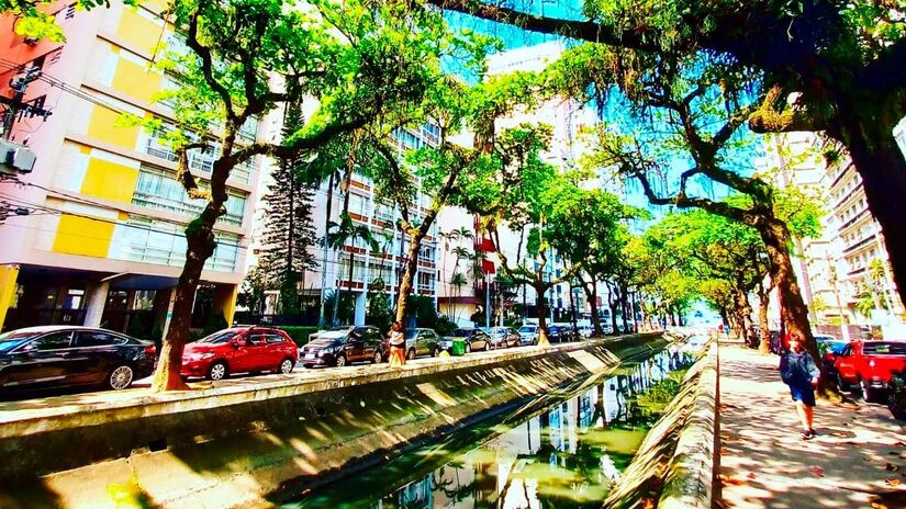 Especialistas alertam que o consumo de peixes capturados em canais urbanos pode representar riscos à saúde. Nair Bueno/DL