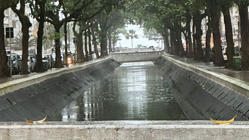 Tilápias do Nilo foram identificadas nos canais de Santos; espécie invasora se adaptou ao ambiente urbano da cidade. Nair Bueno/DL