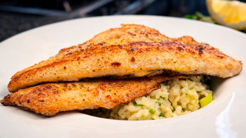 Reprodu&ccedil;&atilde;o