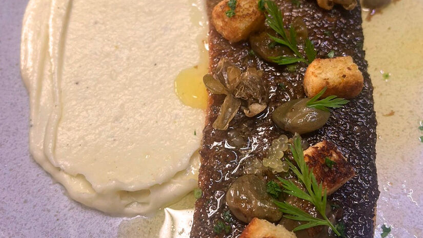 Reprodu&ccedil;&atilde;o