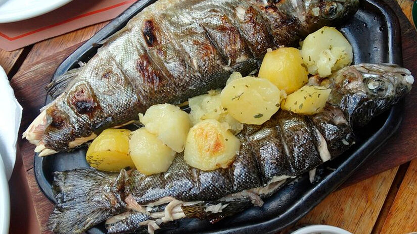 Reprodu&ccedil;&atilde;o