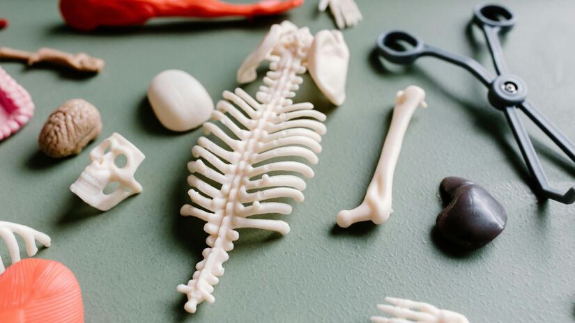 Exercícios físicos ajudam a reduzir a perda de massa óssea/Pexels