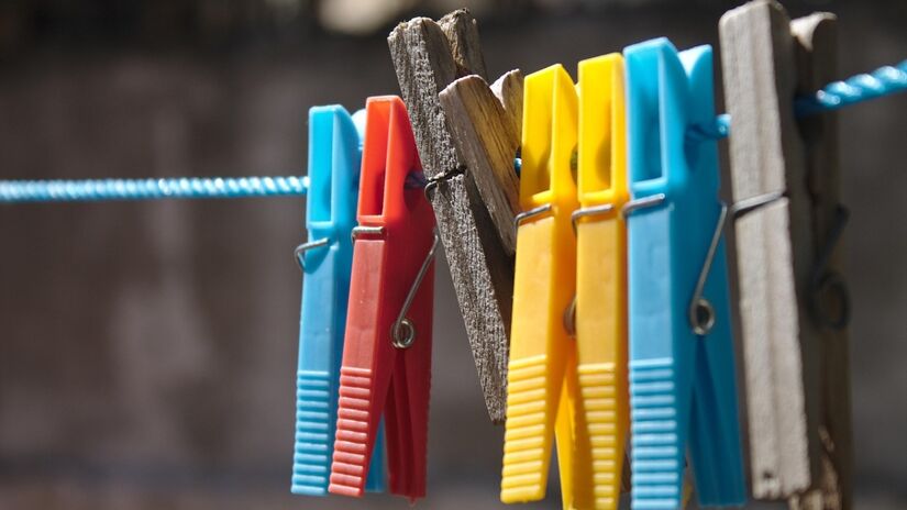 Em algumas regi&otilde;es do pa&iacute;s, o aumento da umidade tamb&eacute;m favorece a presen&ccedil;a de carac&oacute;is e do caramujo africano / Pixabay/wilkernet