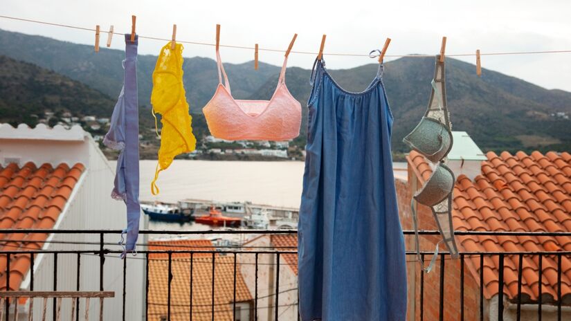 Insetos como maria-fedida podem se aproximar de roupas penduradas no varal e depositar pequenos ovos nos tecidos / Freepik