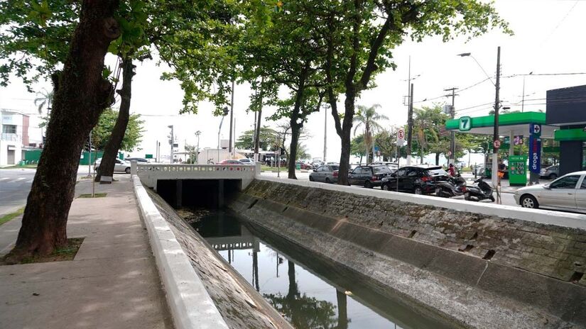 Além da possível contaminação por metais, a espécie também pode abrigar bactérias associadas a infecções e problemas gastrointestinais. Renan Lousada/DL