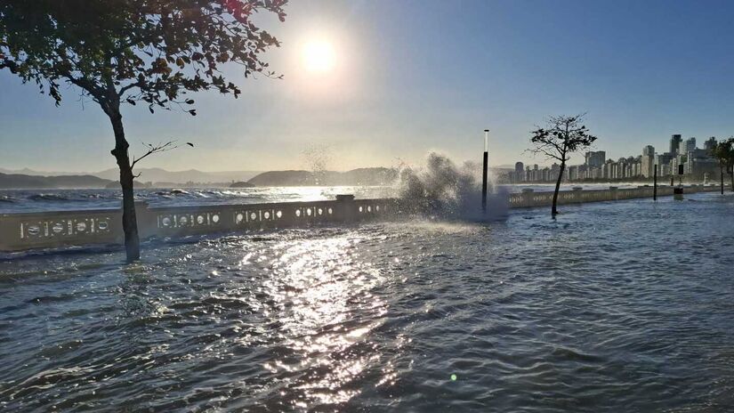 Nair Bueno - Di&aacute;rio do Litoral