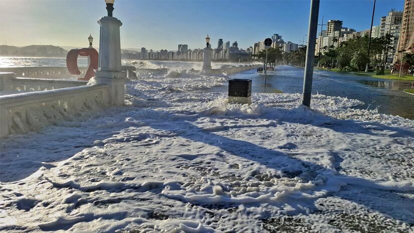 Nair Bueno / Di&aacute;rio do Litoral