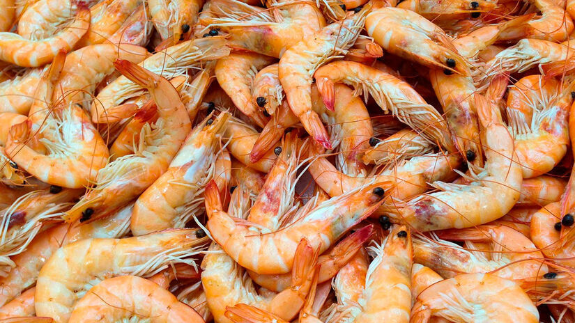 Internautas reagiram com humor &agrave; fala de Ana Maria, fazendo piadas sobre ter poucos ingredientes em casa. Pixabay