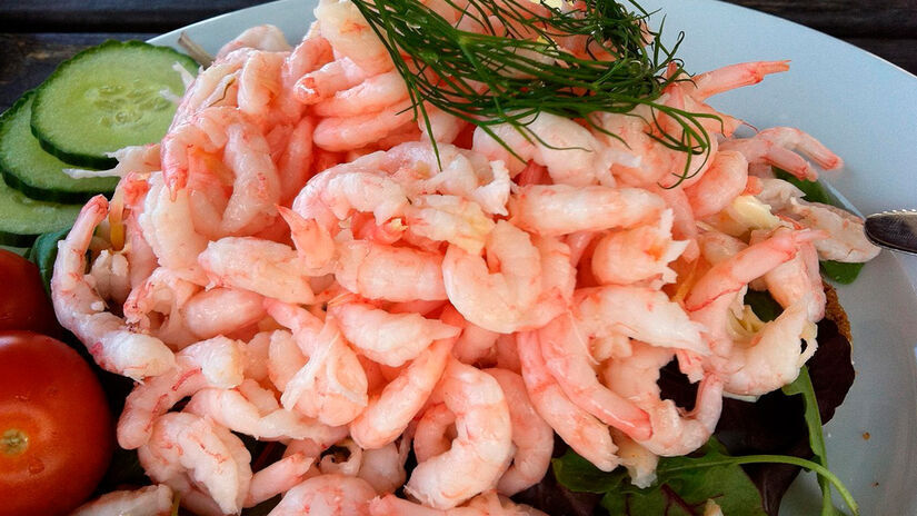 Apesar das cr&iacute;ticas e brincadeiras, muitos f&atilde;s defenderam a apresentadora e elogiaram sua preocupa&ccedil;&atilde;o com receitas acess&iacute;veis. Pixabay