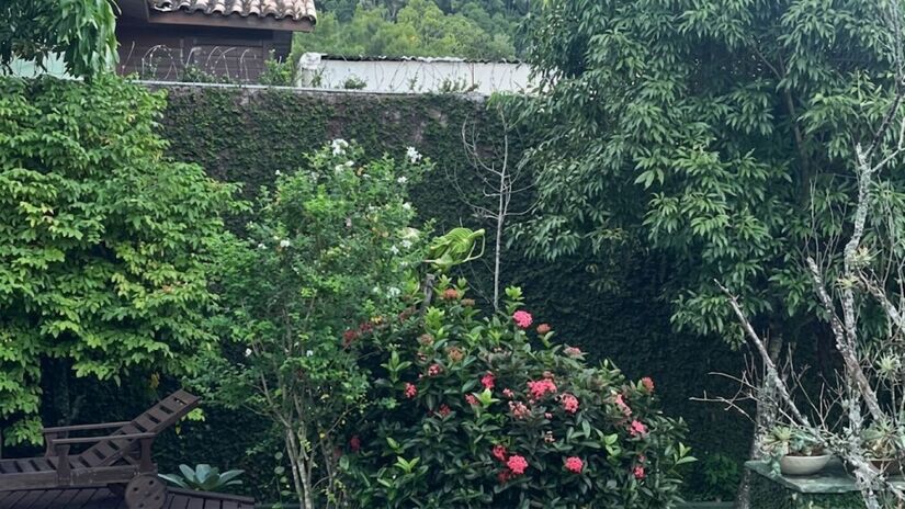 Imóvel em Ipanema, avaliado em cerca de R$ 2 milhões, é alvo de disputa judicial entre o ator e as filhas/Reprodução