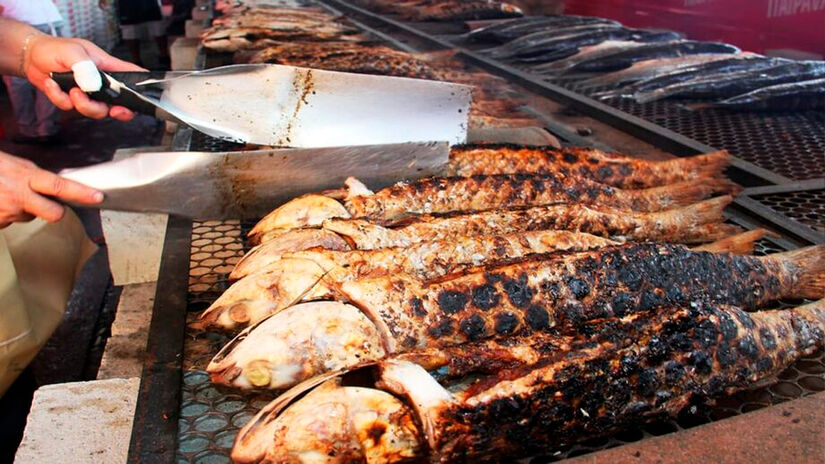 Divulga&ccedil;&atilde;o/PMPG