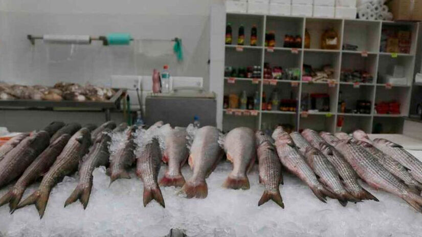 Divulga&ccedil;&atilde;o/PMS