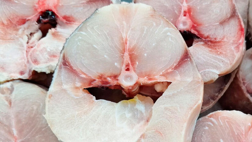 Reprodu&ccedil;&atilde;o