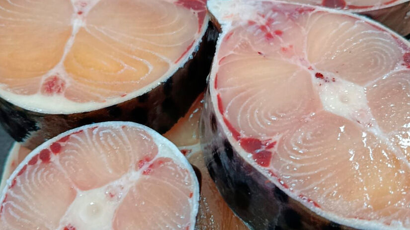 Reprodu&ccedil;&atilde;o