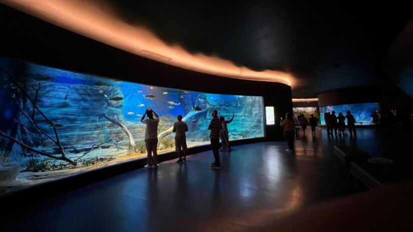 Reprodução / Acervo Bioparque Pantanal