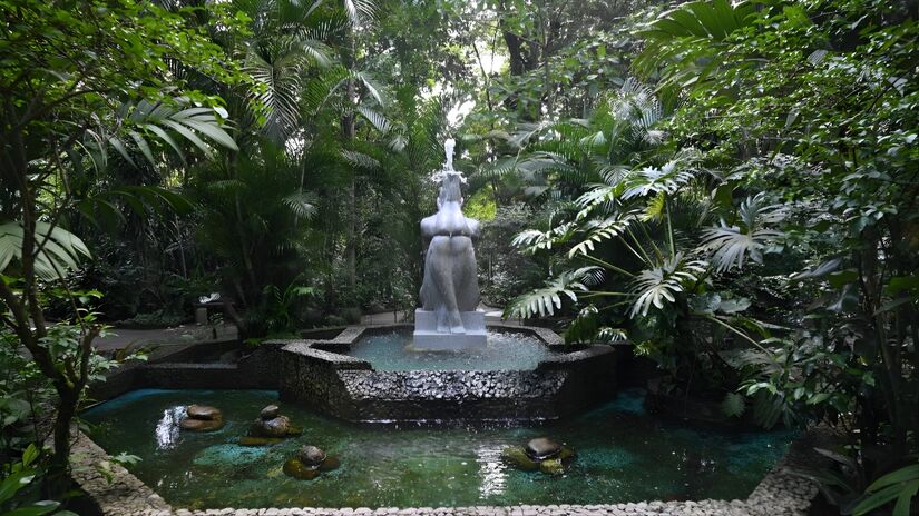 Jardim Botânico contará com atividades entre segunda e Sexta-feira (Henrique Teixeira/PMS)