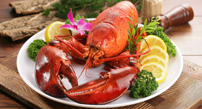 A prática de cozinhar lagostas vivas já é proibida em países como Suíça, Noruega e Nova Zelândia. Pixabay