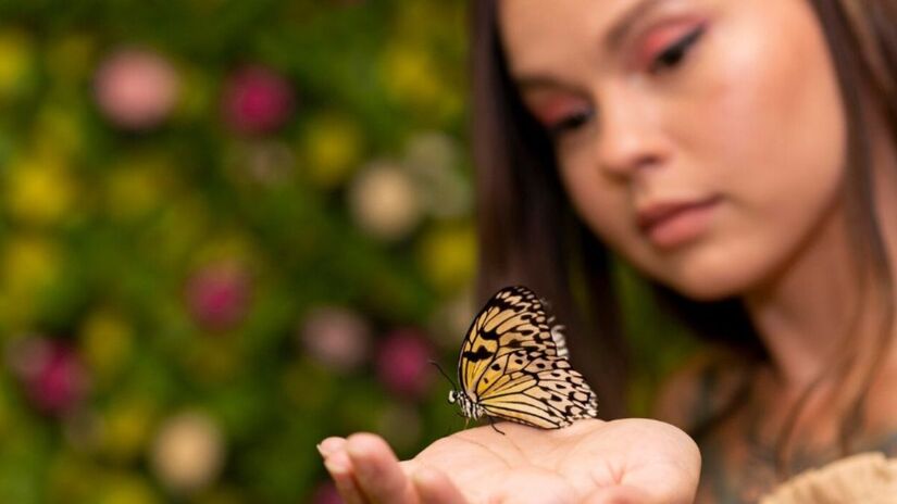 Muito além da beleza, a presença constante de borboletas no quintal é um sinal direto de equilíbrio ambiental. Esses animais são sensíveis à poluição, e sua visita frequente confirma que o ecossistema local está saudável e livre de pesticidas. /Freepik