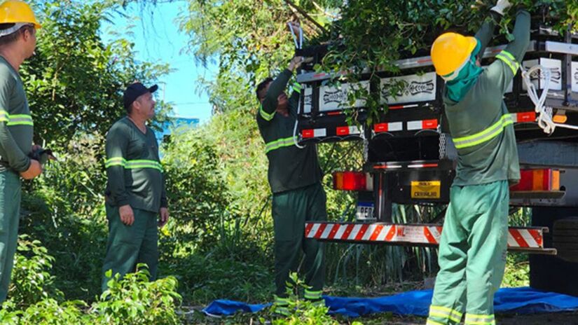 Com a contratação de 40 novos profissionais, o programa "Prefeitura Presente" iniciou os mutirões de limpeza pela região do Gaivota. A nova equipe atuará progressivamente em todos os bairros de Itanhaém, reforçando serviços de roçada, poda e zeladoria urbana/Divulgação