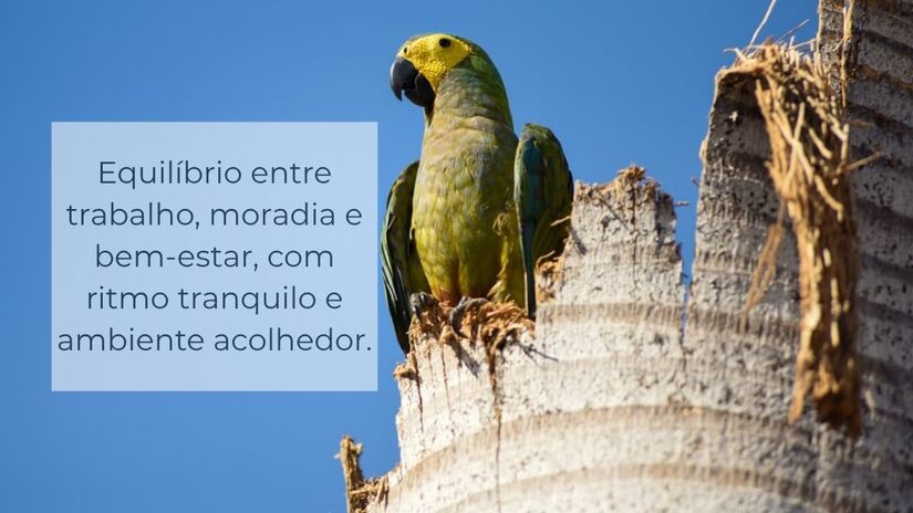 1. Qualidade de vida/Divulgação