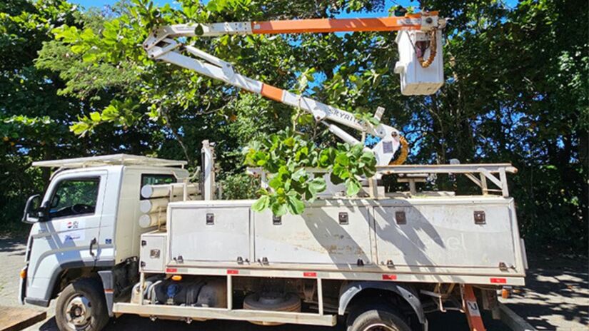 Parte do investimento de R$ 10 milhões é destinada ao desassoreamento de rios e à desobstrução de galerias pluviais. O objetivo é ampliar a capacidade de vazão das águas, minimizando os impactos de alagamentos durante períodos de chuvas intensas./Divulgação