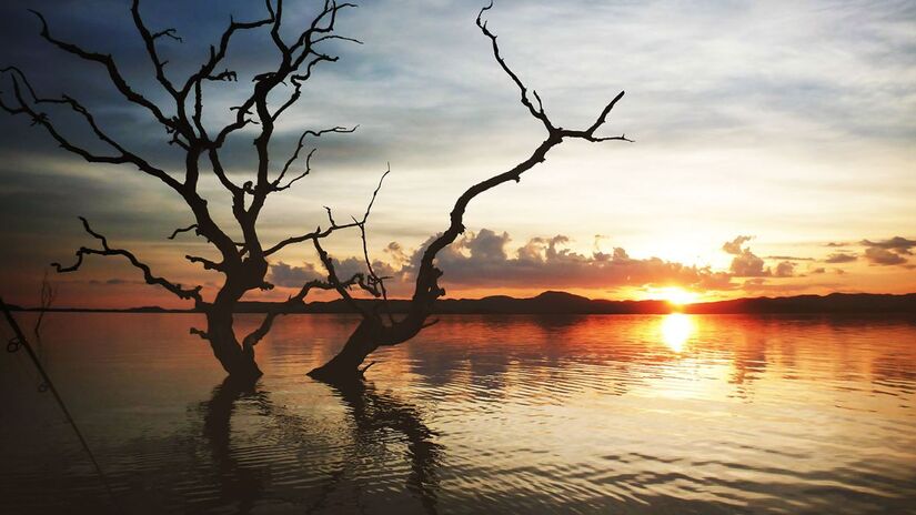 Lago de Serra da Mesa/Divulgação