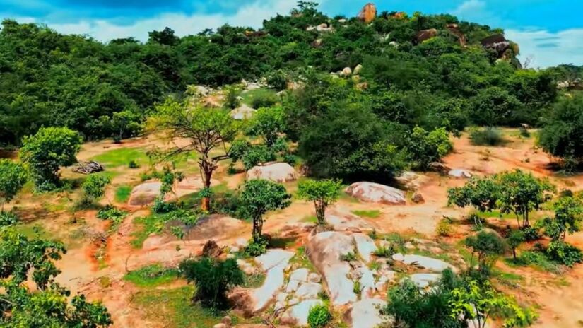 Mais sombra, mais água no solo, mais comida na mesa. Para essas famílias, regenerar a floresta é regenerar a própria vida. / Youtube Planet Wild
