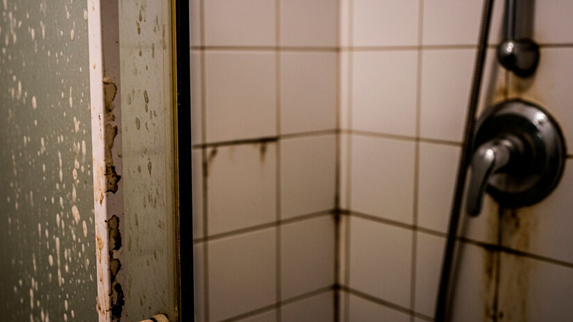 No mercado, existem diferentes tipos de selantes, desde versões com aplicador tipo pincel até opções em spray. A recomendação é realizar a selagem a cada um a três anos. Imagem gerada por IA do Google