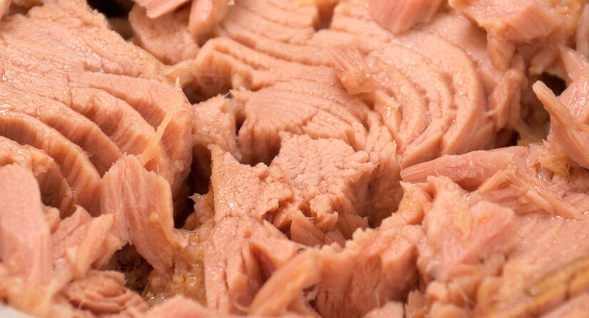 Além das diferenças nutricionais, o atum segue sendo uma das proteínas mais práticas e versáteis da rotina alimentar.  Pixabay