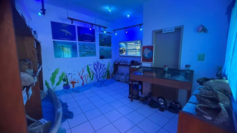 O parque também conta com espaços lúdicos para ensinar as crianças que visitam sobre vida marinha e terrestre, incentivando a preservação do meio ambiente / Reprodução / Marcelo Guedes / Acervo Parque Amazônia Paulista